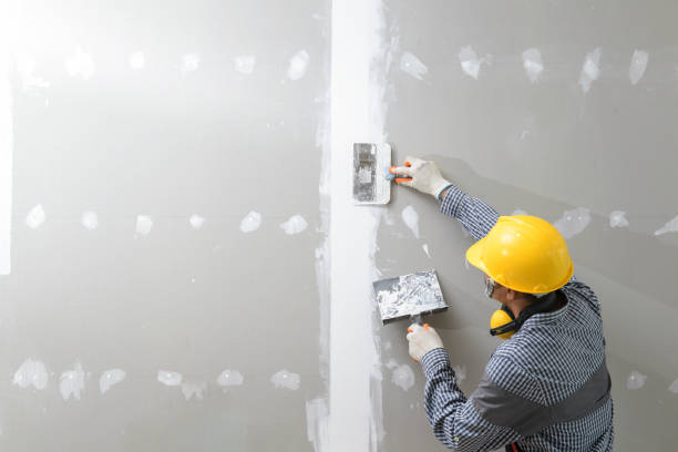 Best Mold Remediation for Vacation Homes  in USA